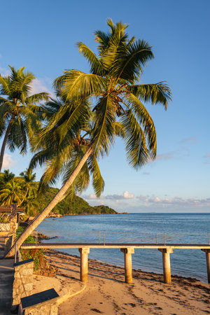 Preparing For The Sundowner At The Jetty On Praslin Island, Seychellesの写真素材
