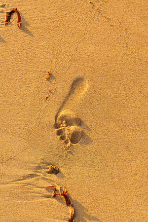 Single Footstep On A Sandy Beach - Praslin Island, Seychellesの写真素材