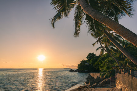 Idyllic Sunset At The Beach Lined With Palms - Lakes On Praslin Island, Seychellesの写真素材