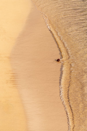 A Coconut Rolling In The Surf On A Pristine Beach At Praslin Island, Seychellesの写真素材