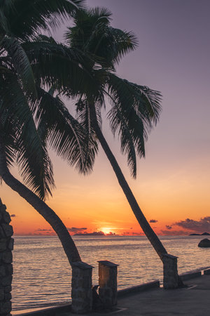 Last Sunbeams Of A Beautiful Sunset At A Beach Of Praslin Island, Seychellesの写真素材