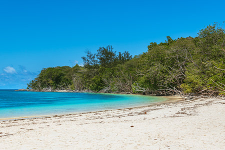 Beautiful Sandy Beach At Anse St Jose On Curieuse Island, Seychellesの写真素材