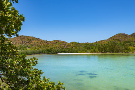 Turtle Pond And The Adjacent Mangrove Forest Are Part Of The Curieuse Marine National Park, Seychellesの写真素材
