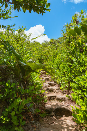 The Hiking Trail From Anse St Jose To The Tortoise Sanctuary On Curieuse Island, Seychellesの写真素材