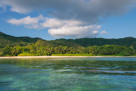 Evening Spotlight On A Small Palm Grove At Grand Anse On Praslin Island, Seychellesの写真素材