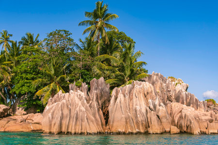 Beautiful Little Rainforest Behind Granite Boulders At St. Pierre Island, Seychellesの写真素材