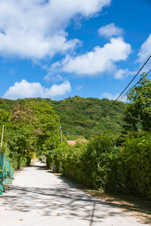 Empty Side Street In La Passe On Beautiful La Digue Island, Seychellesの写真素材