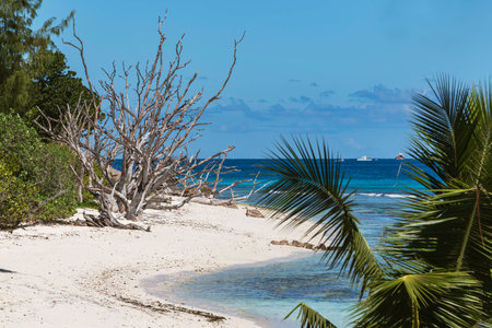 Idyllic Beach Scenery At Anse Gaulette On La Digue Island, Seychellesの写真素材