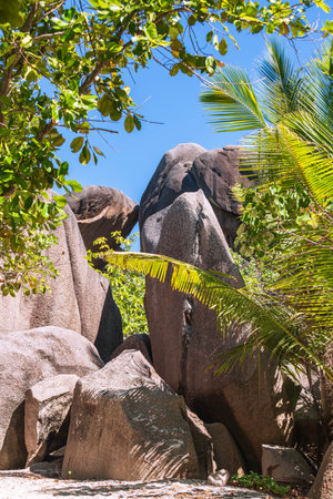 Passing Rock Formations While Strolling Along Anse Source d'Argent On La Digue Island, Seychellesの写真素材