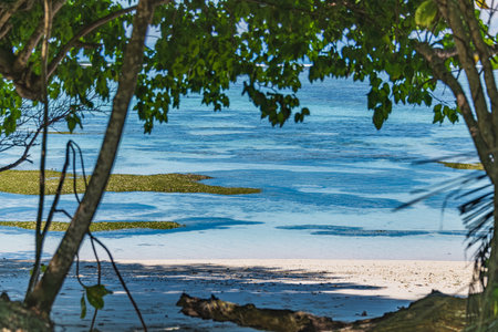 Beautiful View From The Rainforest To The Sandy Beach At Anse Source d'Argent On La Digue Island, Seychellesの写真素材