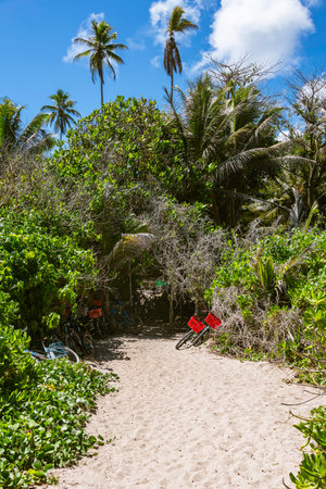 The Way From The Beach To The Bike Parking Area - Grand Anse, La Digue Island, Seychellesの写真素材