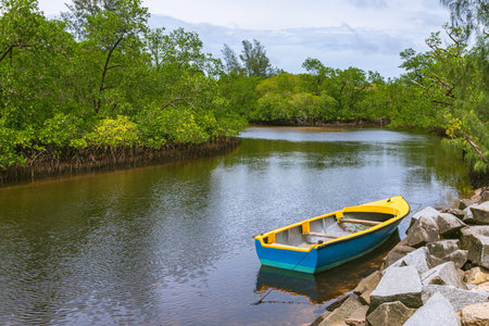 Fishing Boat At A Tidal Creek On The West Coast Of Mahe Island, Seychellesの写真素材