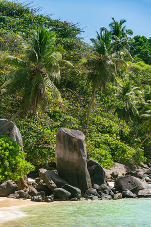 Beautifiu Beach Scenery At Anse Royale With Granite Boulders And Palms - Seen On Mahe Island, Seychellesの写真素材
