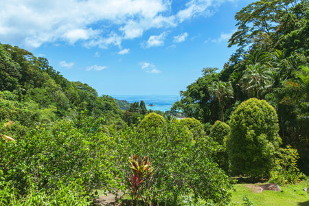 Stunning View Over Anse Royale From Jardin Du Roi Spice Gardenの写真素材