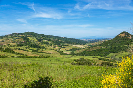View Over A Lovely Tuscan Valley To The Apuan Alps Close To Volterraの写真素材