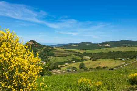 Springtime In The Beautiful Tuscan Countryside Close To Volterraの写真素材