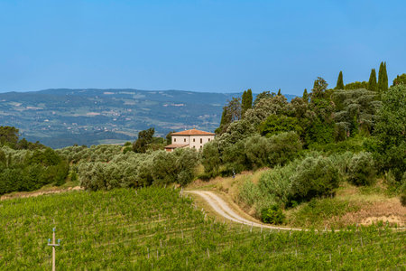 The Winding Road To The Farmhouse In The Chianti Hillsの写真素材