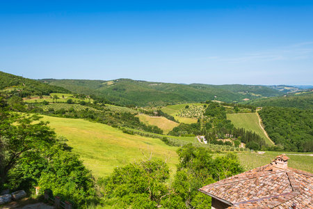 Meadows, Vineyards And Olive Plantations Are Common In The Chianti Regionの写真素材