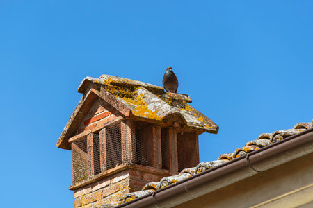 A Dove Sitting On A Chimney - Lakes In Radda In Chianti, Tuscanyの写真素材