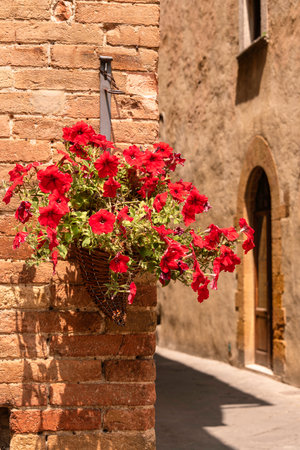 Beautiful Floral Street DecorationIn The Historic City Of Pienza, Tuscanyの写真素材
