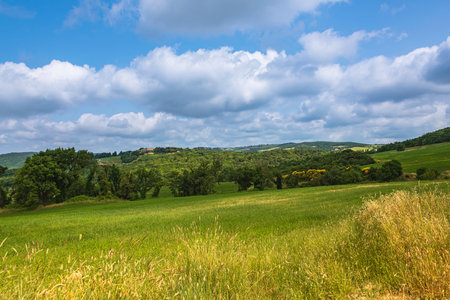 Sunny Morning In The Rolling Hills Close To Volterra In Tuscanyの写真素材