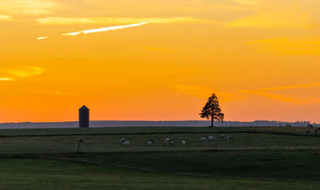 Rural landscape during summer time, agricultural fields a beautiful sunset evening.の写真素材