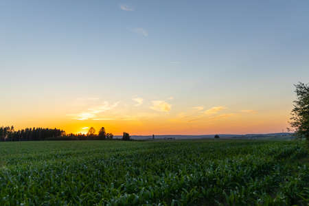 Rural landscape during summer time, agricultural fields a beautiful sunset evening.の写真素材