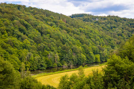 Old forest in the Belgian Ardennes in the region of Bouillon during summer time.の写真素材