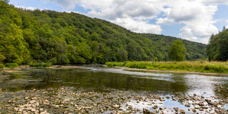 Old forest in the Belgian Ardennes in the region of Bouillon, with a view of the Semois river during summer time.の写真素材