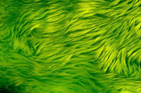 A close-up of an green fake fur, might be a carpet. Or a green scary monster!の写真素材