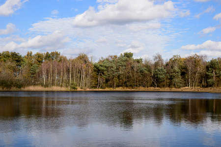 Water along the woodsの写真素材