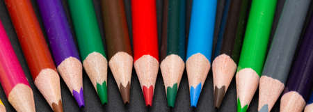 Colored pencils in close up for school semicircular arranged in wide panorama format plus copy space for free textの写真素材