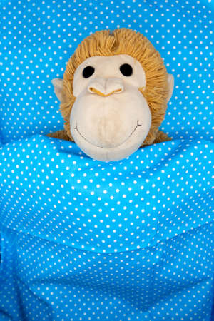Cuddly toy monkey for children in bed under a blue duvet with white dots as motif for congratulations cardの写真素材