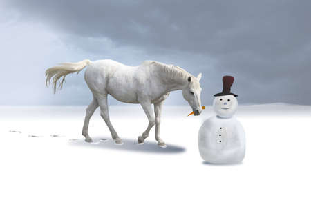 The snowman and the horse in a winter landscape.の写真素材