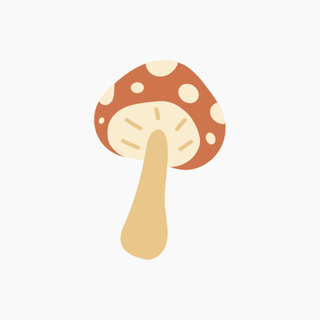 Mushroom Illustrationのイラスト素材