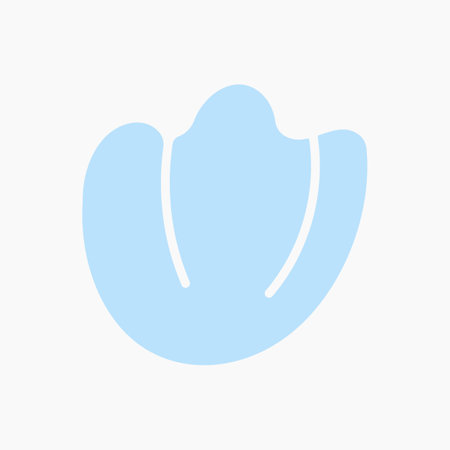 Poppy Flower Illustrationのイラスト素材