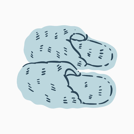 A Couple of Hairy House Slippers Illustrationのイラスト素材
