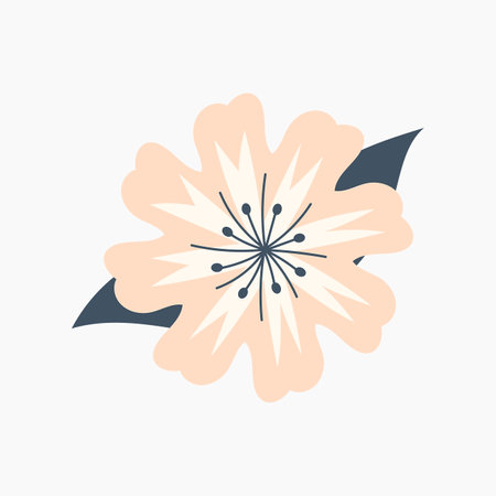 Soft Spring Flower Illustrationのイラスト素材