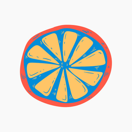 Organic Half Cut Orange Illustrationのイラスト素材