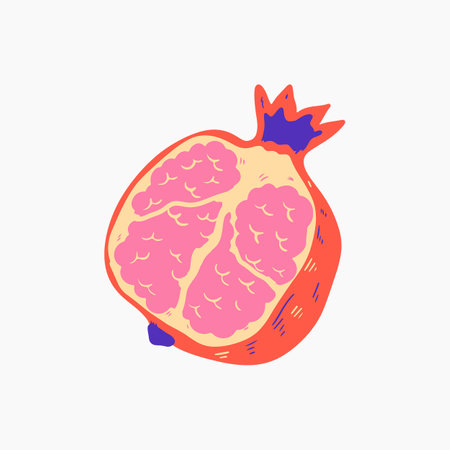 Organic Half Cut Pomegranate Illustrationのイラスト素材