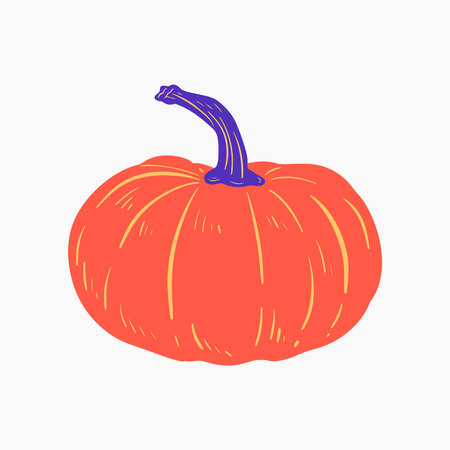 Organic Pumpkin Illustrationのイラスト素材