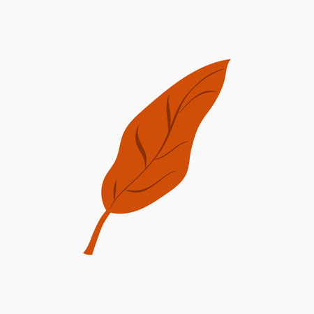 Orange Autumn Leaf Elementのイラスト素材