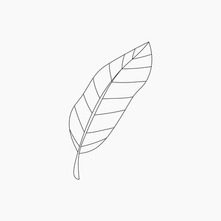 Tropical Leaf Line Artのイラスト素材