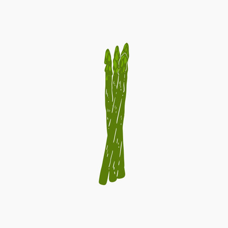 Organic Asparagusのイラスト素材