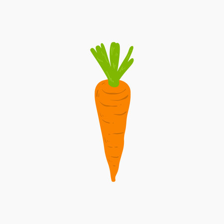 Organic Carrotのイラスト素材