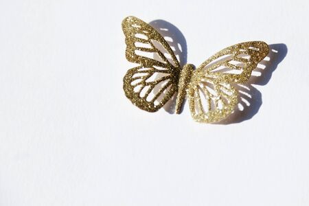 a gold butterfly brooch lies on white backgroundの写真素材