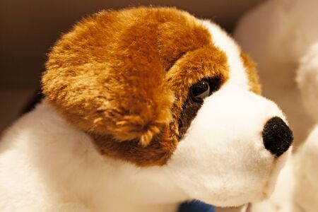 toy depicting a dog from the side, stuffed animalsの写真素材