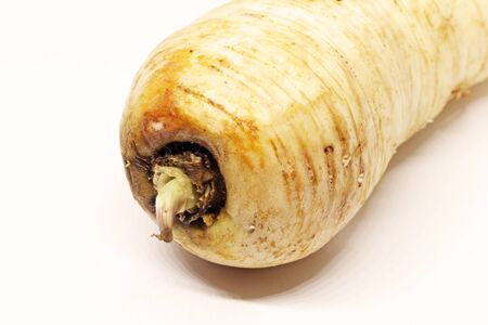 a parsnip on white background