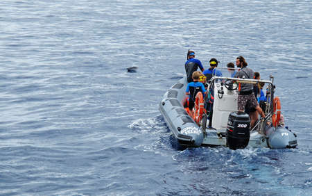 Lagoa, Azores Portugal - June 10, 2014: The tourists on the rubber boat see a dolphin