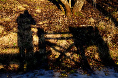 shadow of person standing on a bridge in sunset